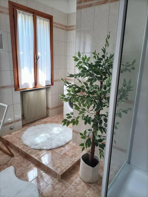 A Due Passi Dal Centro Villa Treviso Luaran gambar
